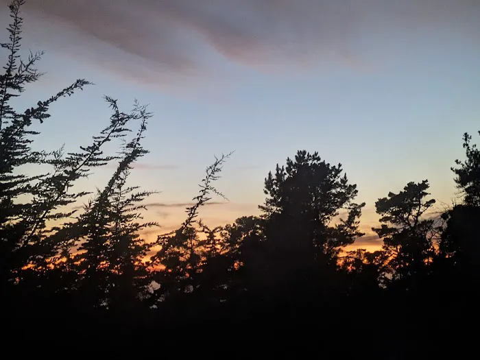 Washburn Campground Picture 9