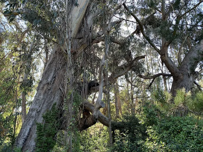 Washburn Campground Picture 8