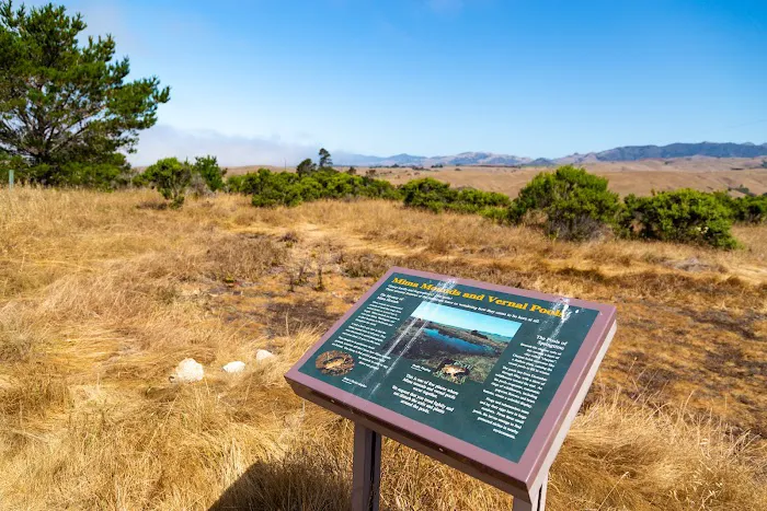 Washburn Campground Picture 7