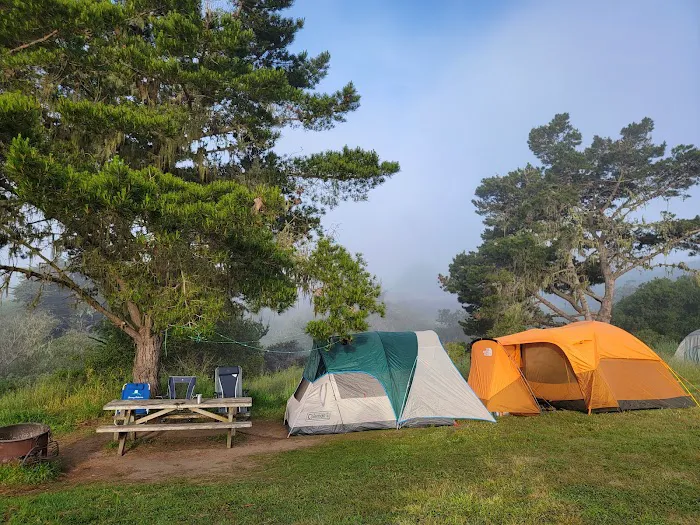 San Simeon Creek Campground Picture 5
