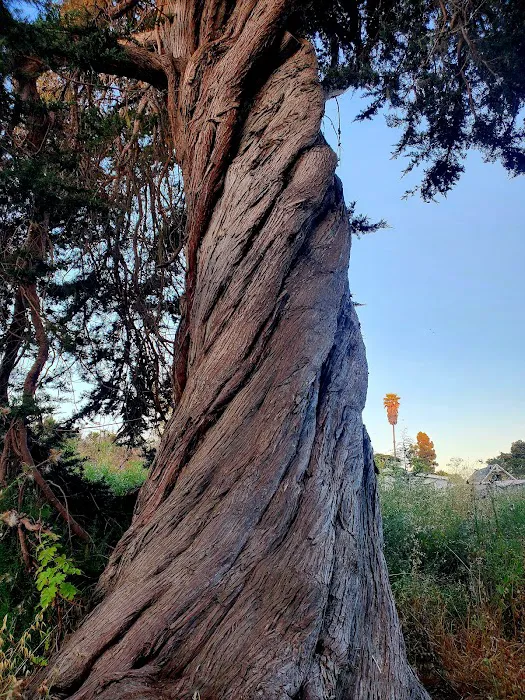 San Simeon Creek Campground Picture 6