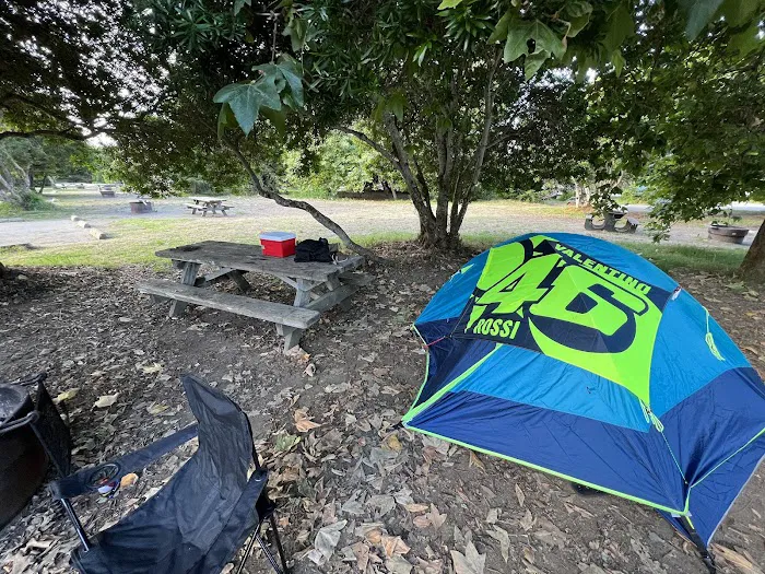 San Simeon Creek Campground Picture 9