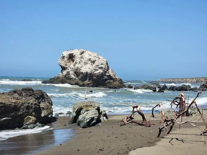 San Simeon Creek Campground Picture 7