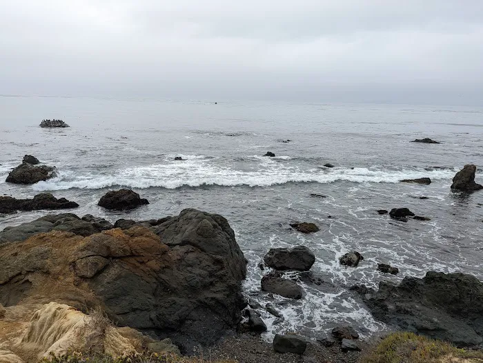 San Simeon Creek Campground Picture 4