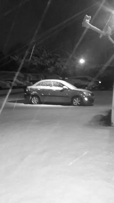 Carolina Estates Rental Properties Picture 4