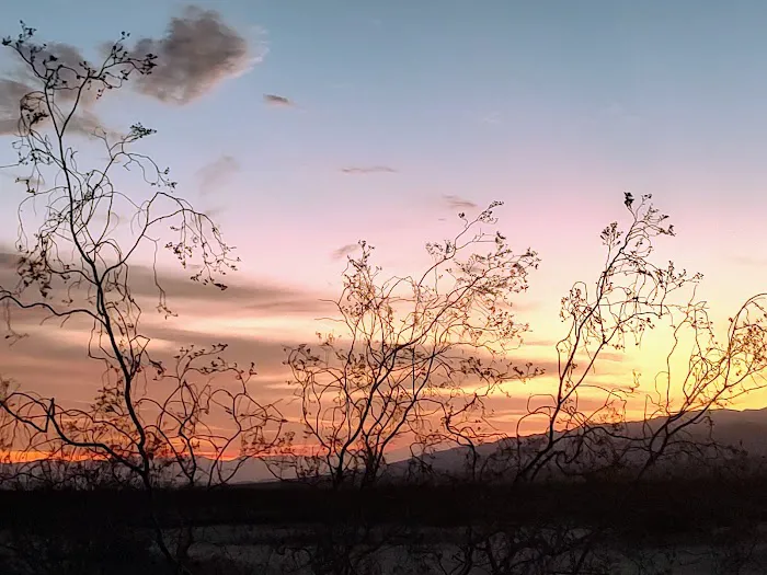 Chiriaco Summit Campground Picture 3