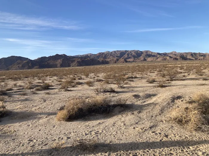 Chiriaco Summit Campground Picture 8