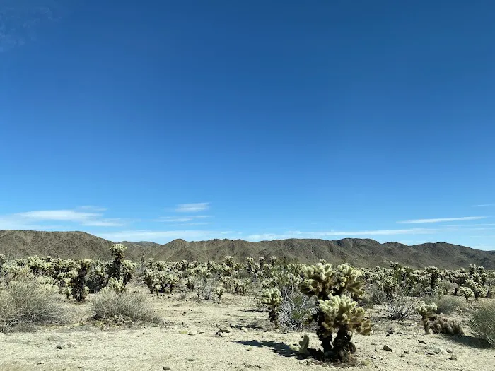 Cottonwood Group Campground Picture 4