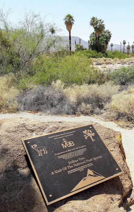 Cottonwood Group Campground Picture 6