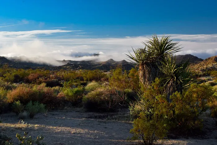 Cottonwood Campground Picture 3