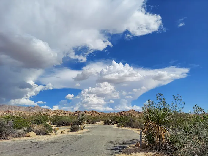 Cottonwood Campground Picture 8