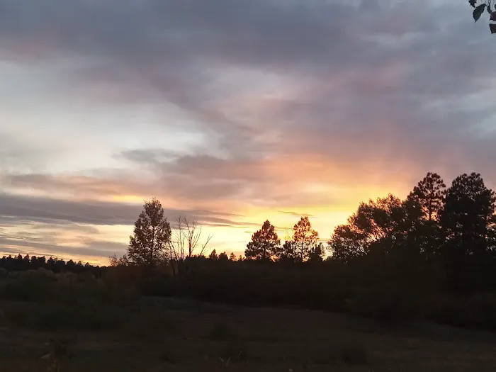 Sonny's Compound Picture 2