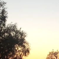 Sonny's Compound ico