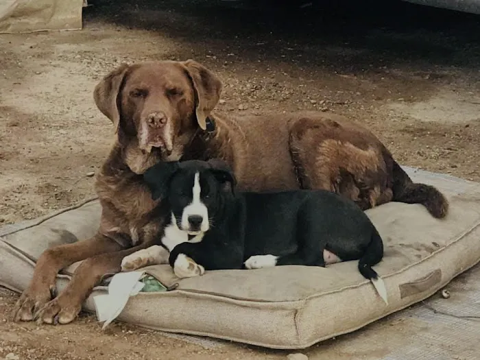 Mojo's Slab Camp Picture 5