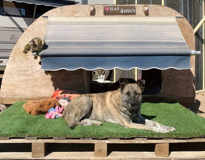 Mojo's Slab Camp Picture 10