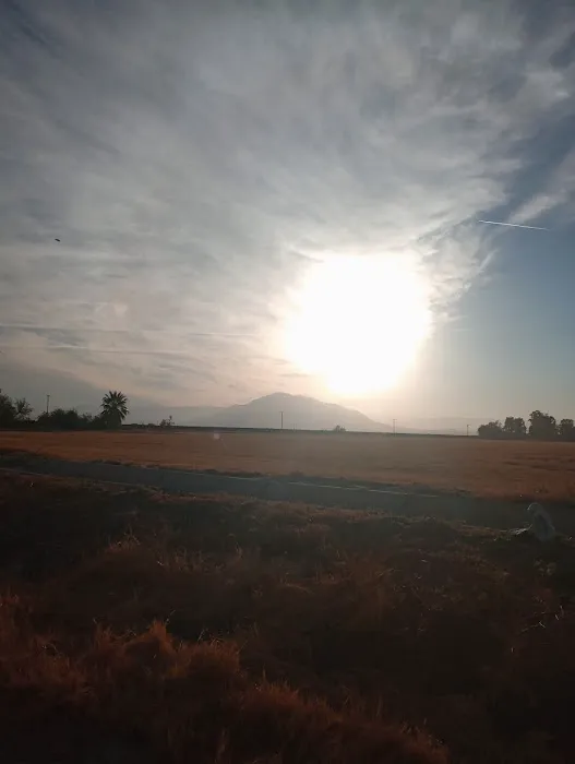 Space Port Picture 1