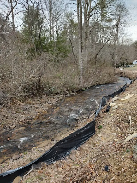 Ron's Carolina Blue sky RV campground Picture 2