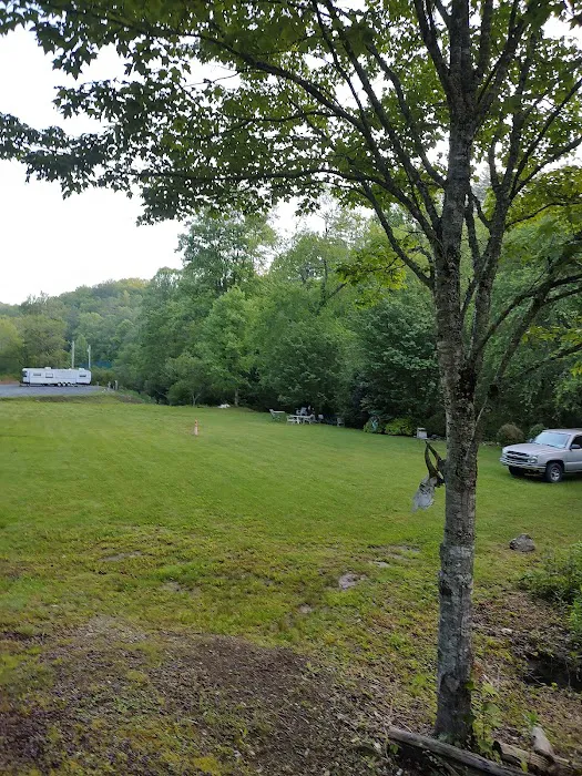 Ron's Carolina Blue sky RV campground Picture 4