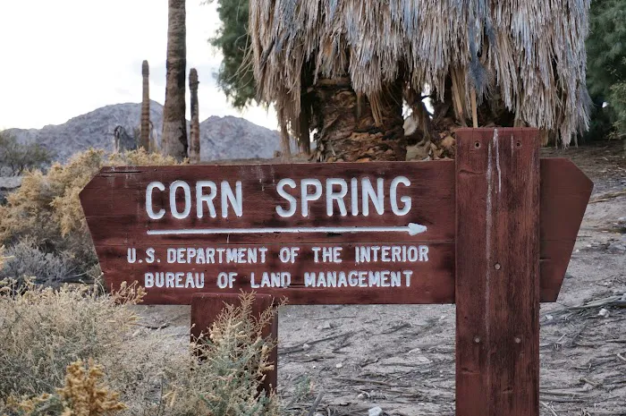 Corn Spring Campsite Picture 8