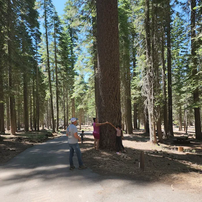 Running Deer Campground Picture 2