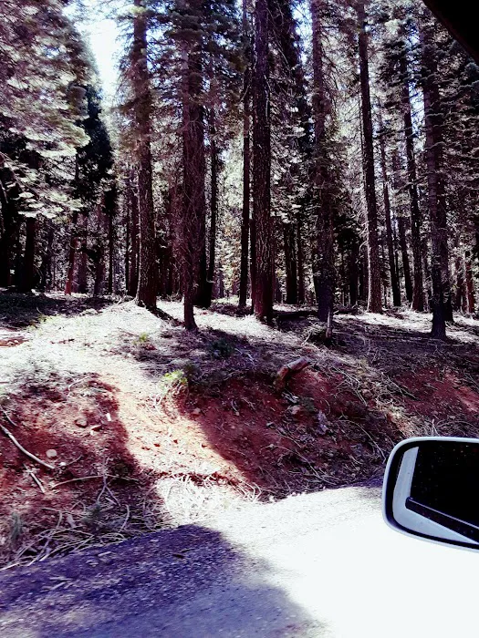 Running Deer Campground Picture 4