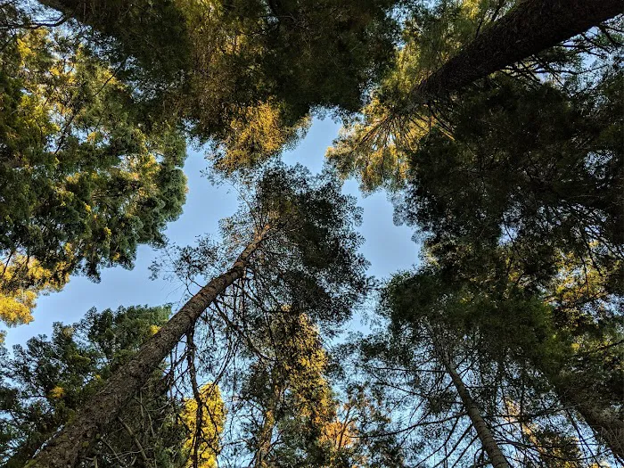 Running Deer Campground Picture 8