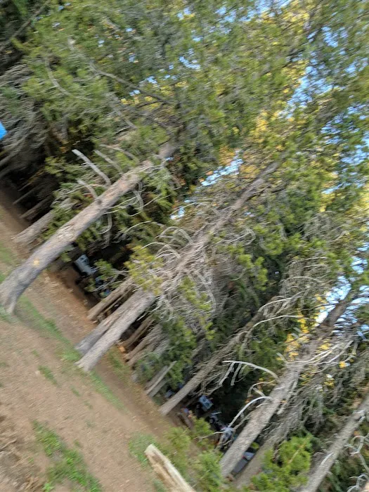 Running Deer Campground Picture 7