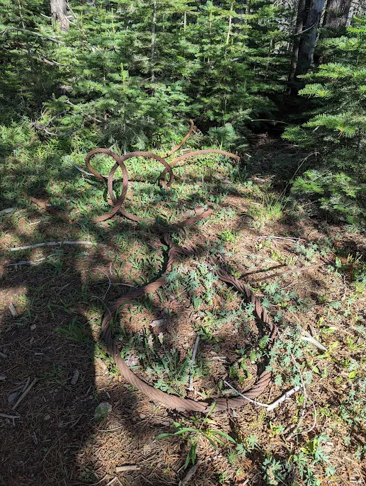 Red Feather Campground Picture 9