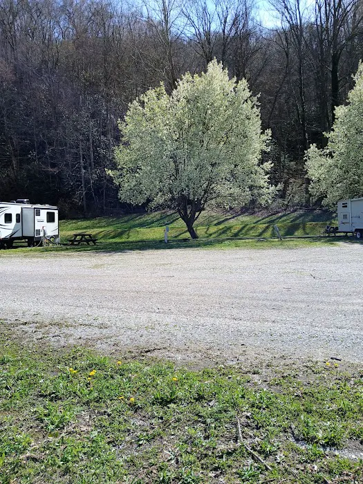 Portal 31 RV Park Picture 3