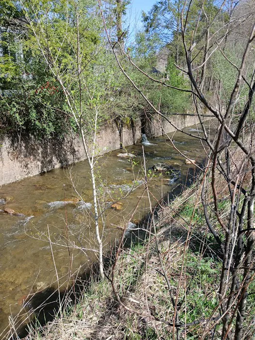 Portal 31 RV Park Picture 8