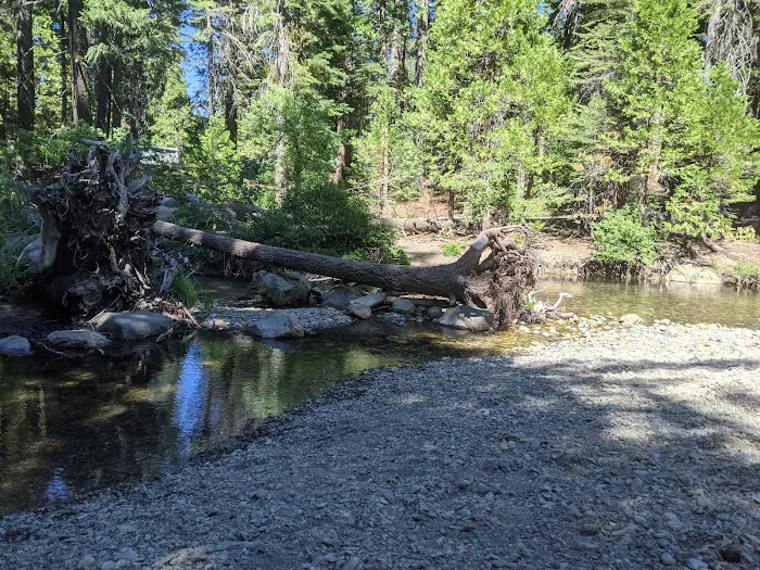 Upper Jamison Campground Picture 1