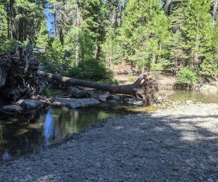 Upper Jamison Campground