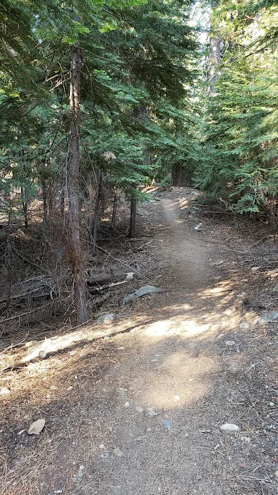 Upper Jamison Campground Picture 5