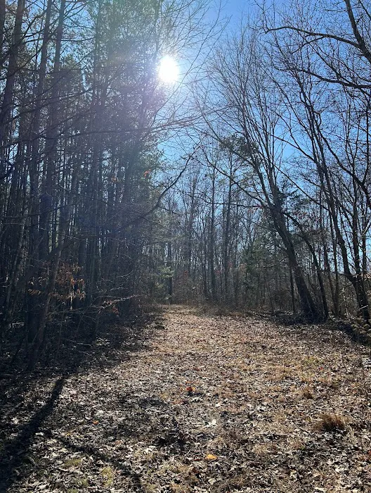 Feather’s Hideaway LLC Picture 1