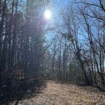 Feather’s Hideaway LLC