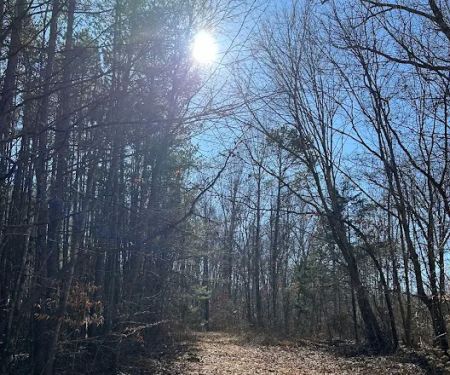 Feather’s Hideaway LLC