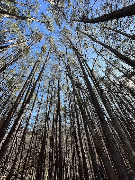 Feather’s Hideaway LLC Picture 2