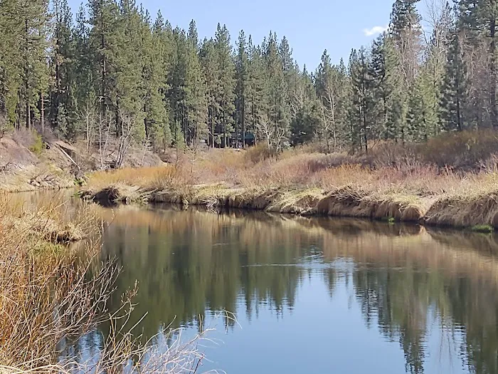 Little Bear RV Park Picture 4