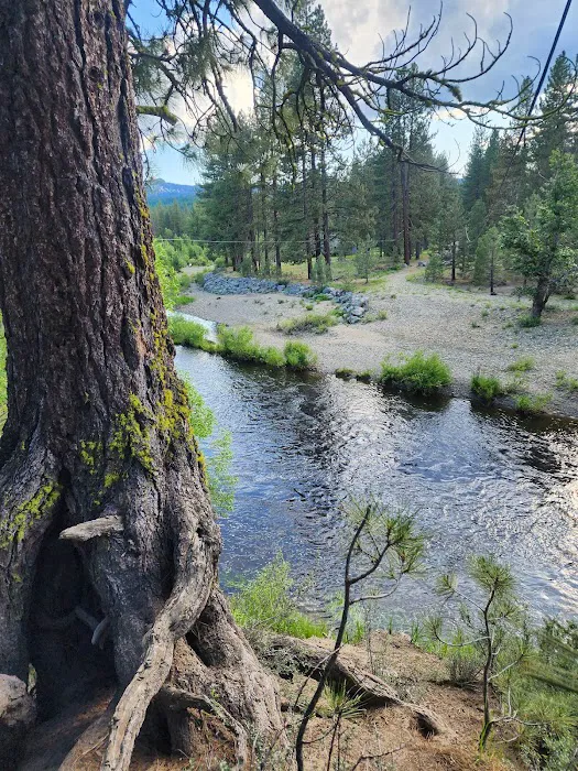 Little Bear RV Park Picture 8