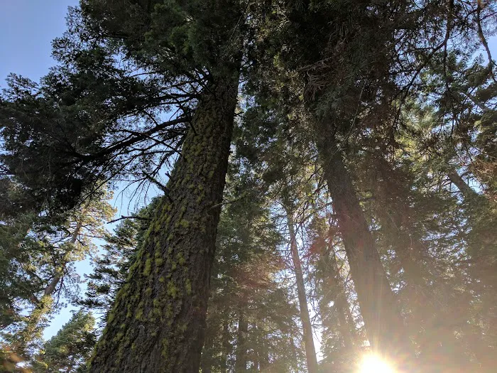 Black Rock Campground Picture 7