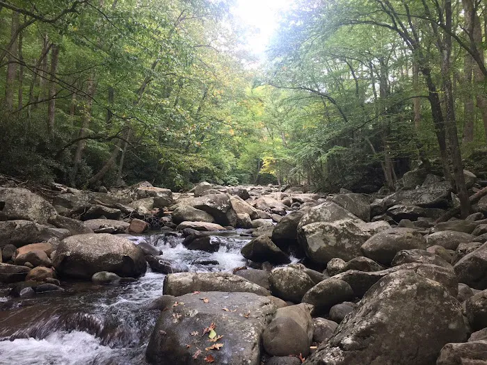 Birds Creek Campground, Tennessee Picture 3