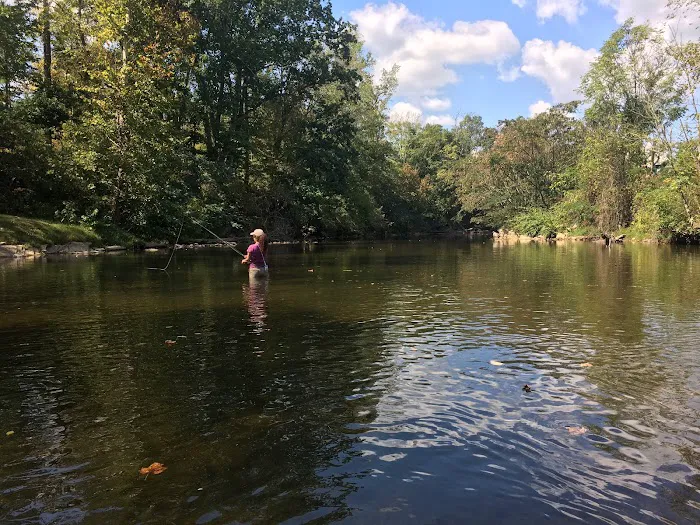 Birds Creek Campground, Tennessee Picture 6