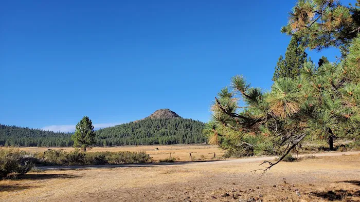 Meadow View Campground Picture 3