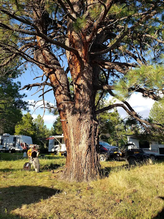 Meadow View Campground Picture 8