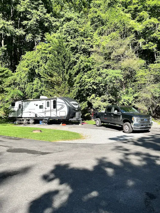 Twin Creek RV Resort Picture 2