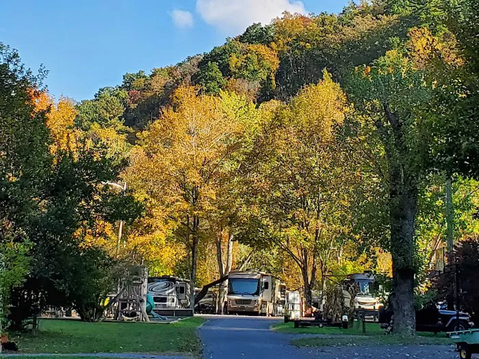 Twin Creek RV Resort Picture 6