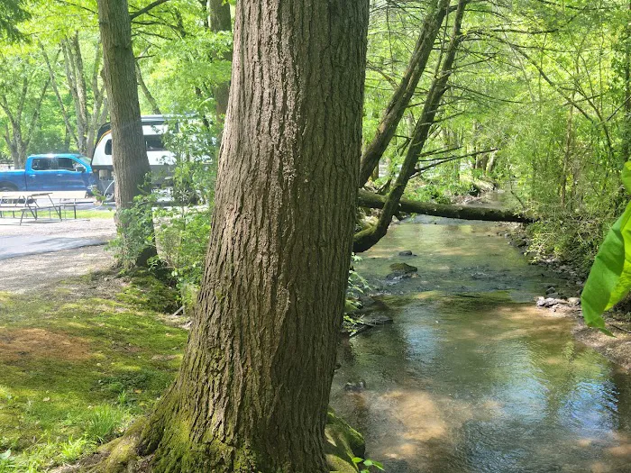 Twin Creek RV Resort Picture 10