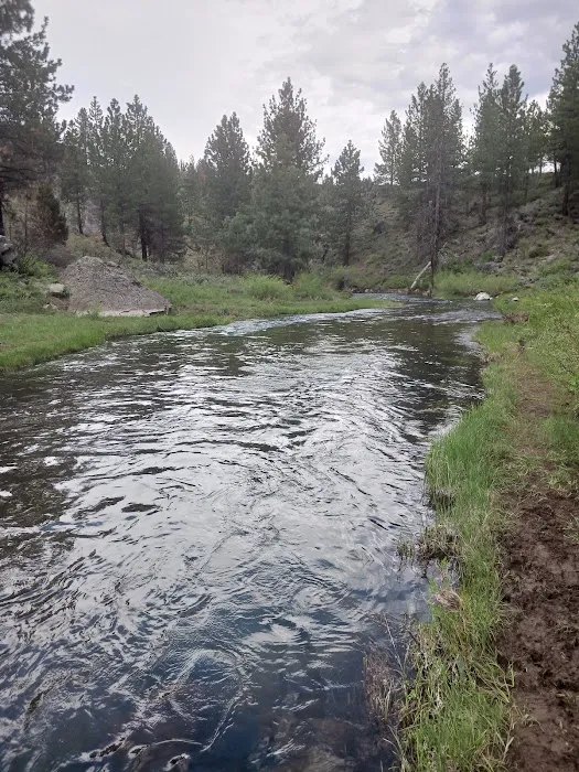 Frenchman Lake Picture 3