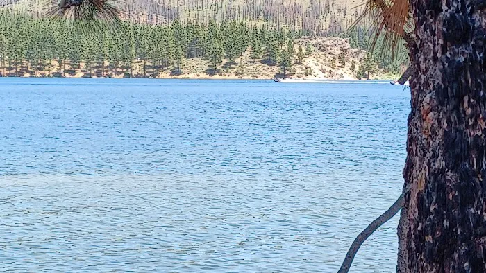 Frenchman Lake Picture 7