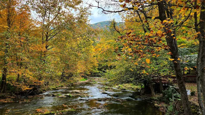 Twin Forks RV park Picture 3